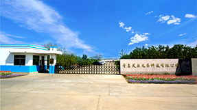 青岛艾尔兄弟